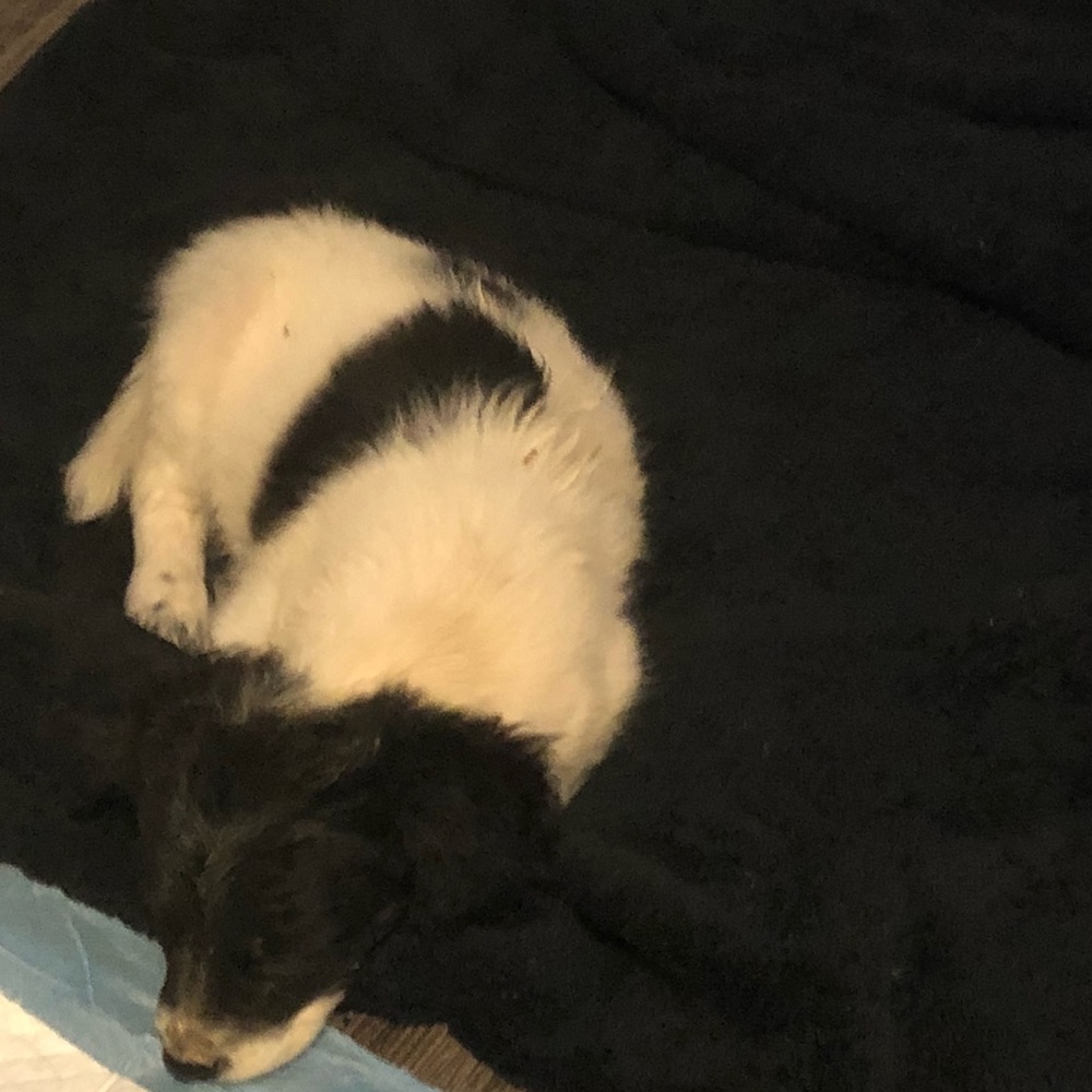 Meet your Posher, Erica